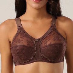 Capri Wide Belt Bra Half Cup Fancy Net Bra